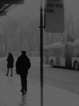 Law Enforcement & Public Safety.png