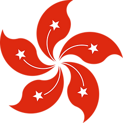 Low-Altitude Economy (LAE) Ready Drone AI for Inspection